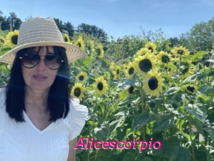Alicescorpio