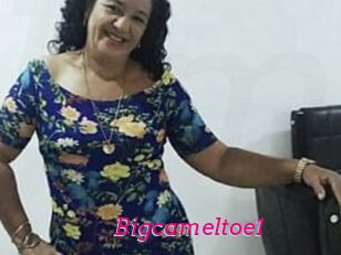 Bigcameltoe1