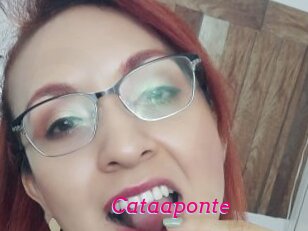Cataaponte