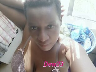 Dew23