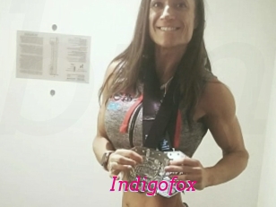 Indigofox