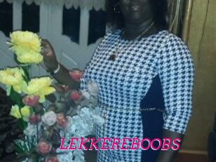 LEKKEREBOOBS