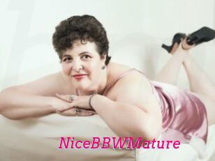 NiceBBWMature Baise Mature