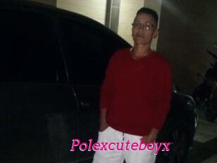 Polexcuteboyx