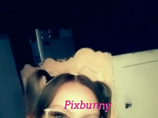Pixbunny