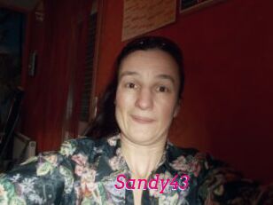 Sandy43