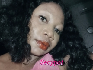 Secypot