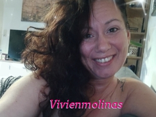 Vivienmolinas