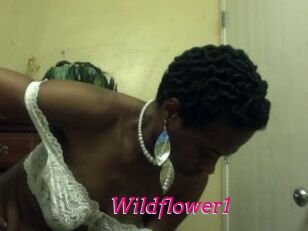 Wildflower1